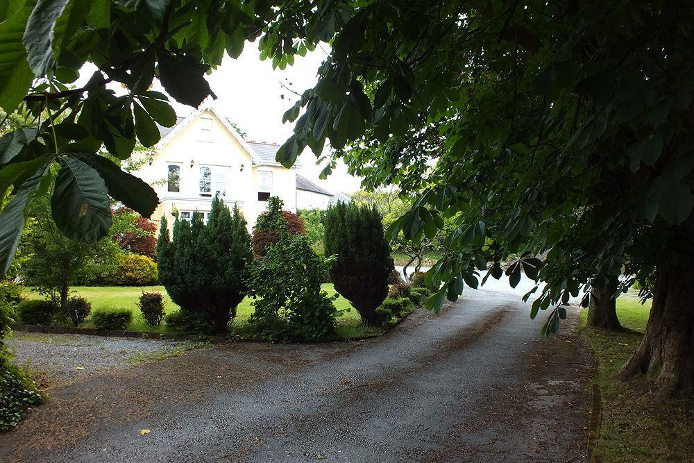 Llwyn Country House Llanelli Zewnętrze zdjęcie